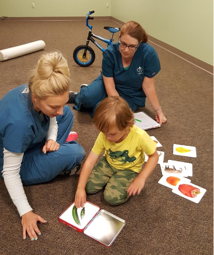 Speech and ABA Therapists working with young boy